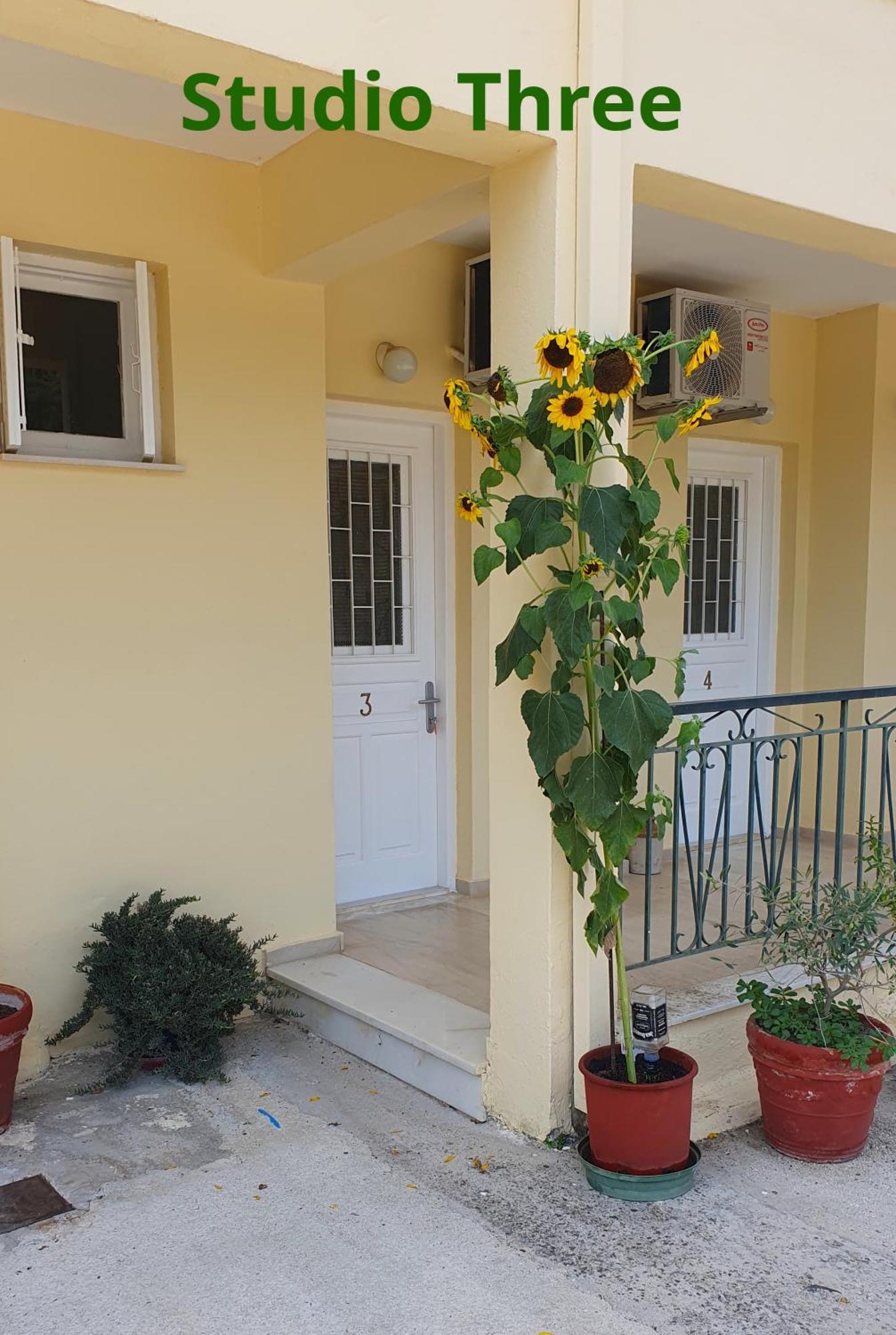 Kivotos Appartement *